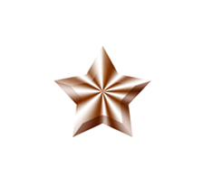 Bronze Star Bronze Star