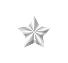 Silver Sponsor Silver Sponsor