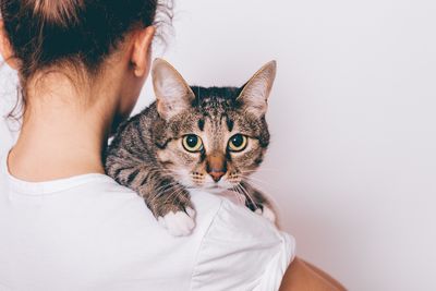 Young woman holding her striped cat