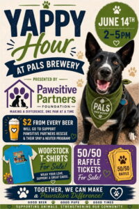 Yappy Hour at pals brewery fundraising for pawsitive partners in north platte nebraska